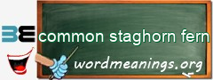 WordMeaning blackboard for common staghorn fern